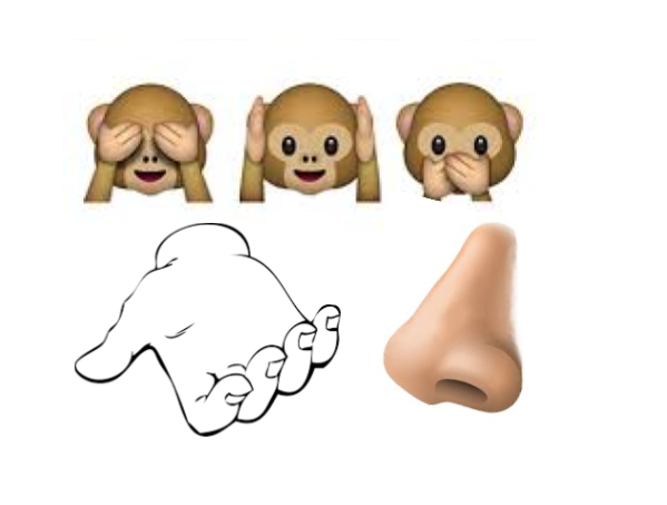 Hand, nose and monkey icons to showcase sensory. 